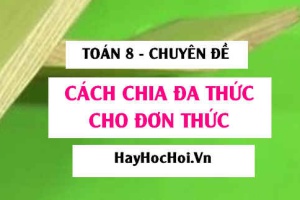 Cách chia đa thức cho đơn thức, Phát biểu quy tắc, Ví dụ và Bài tập chia đa thức cho đơn thức - Toán lớp 8